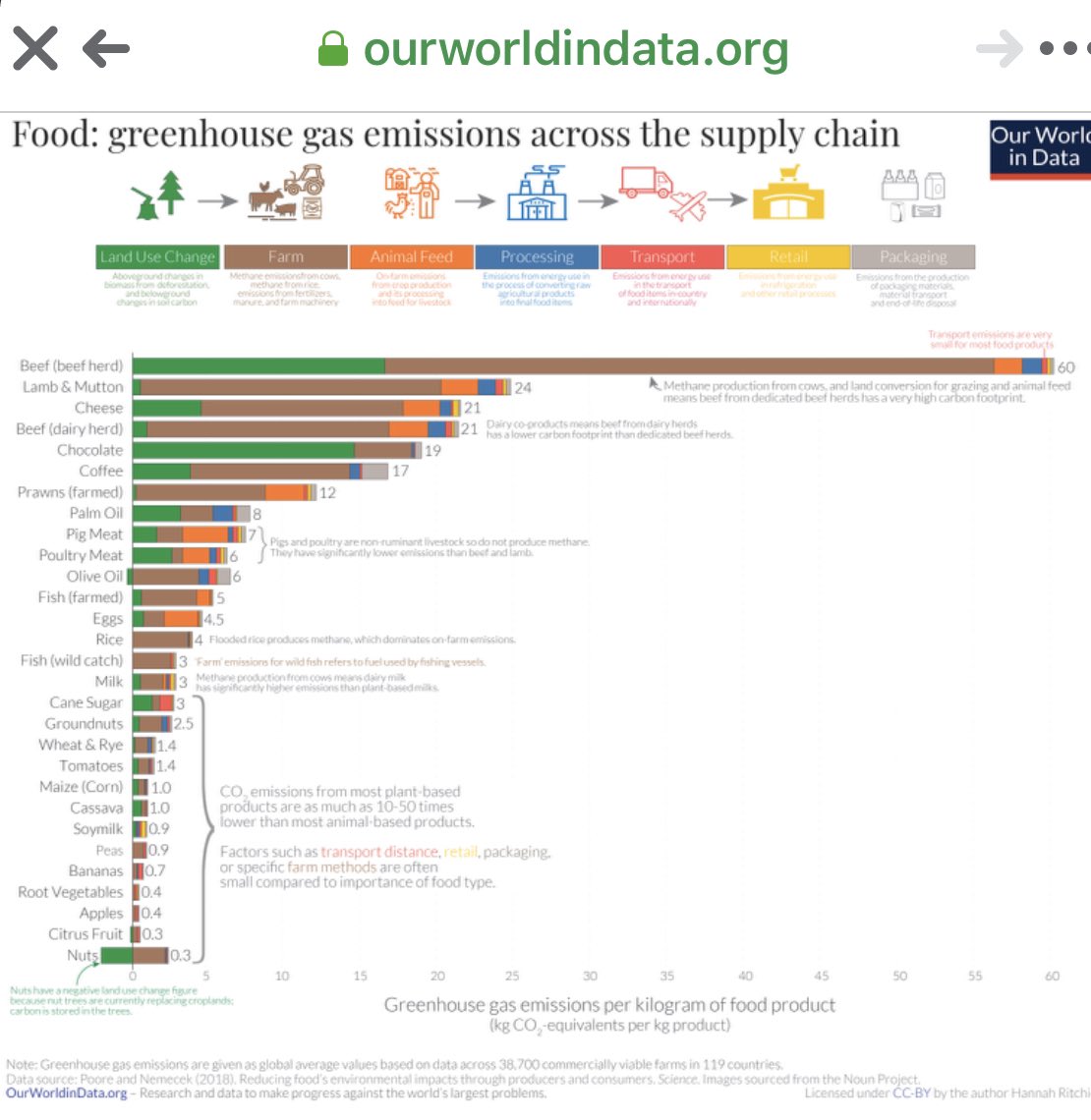 Åsa Strand tweet media