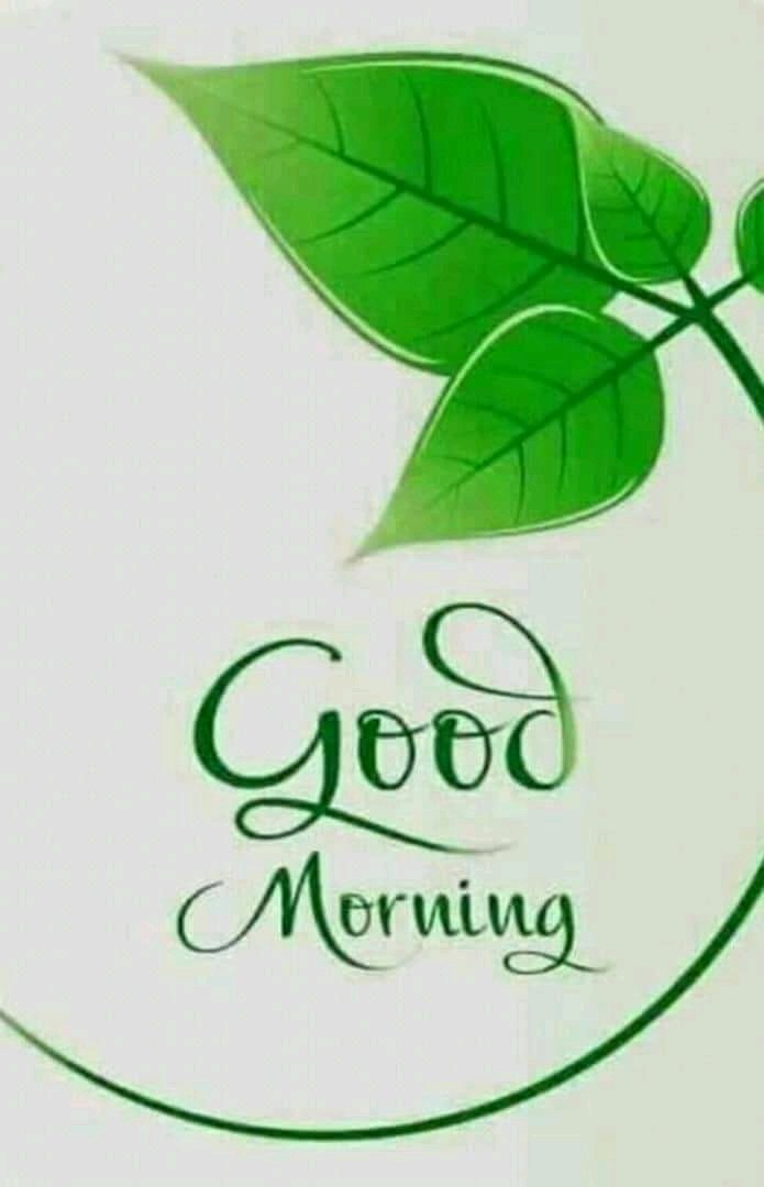 FastessonSmith's tweet image. Hope everyone is good