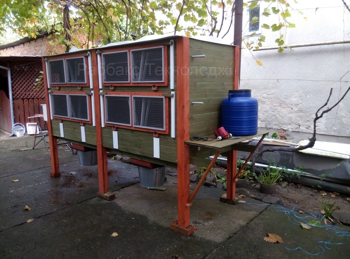 Rabbitax's tweet image. 