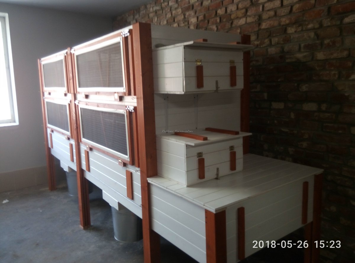 Rabbitax's tweet image. 