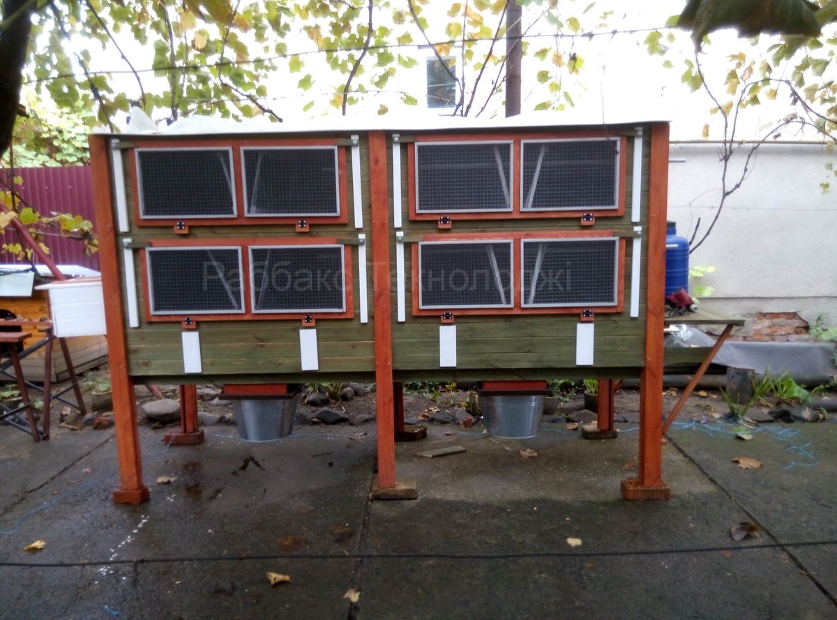 Rabbitax's tweet image. 