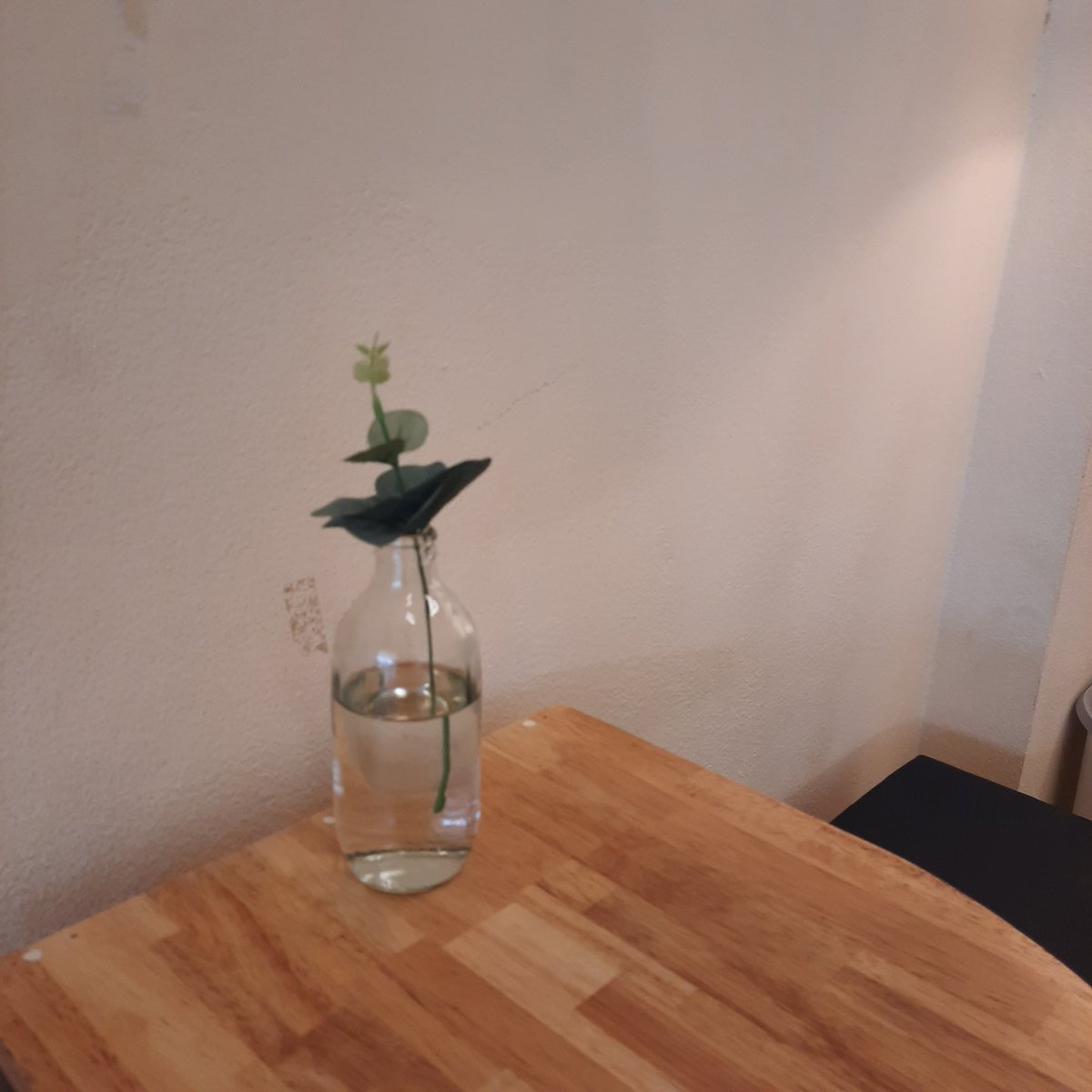 เหมือนไม่ได้มาเรียนนาน