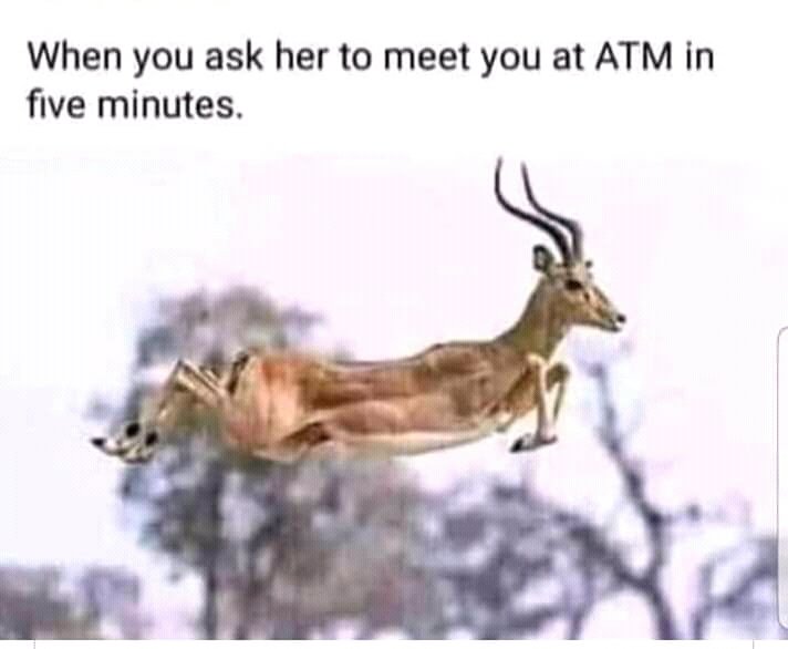 RayBremin's tweet image. 