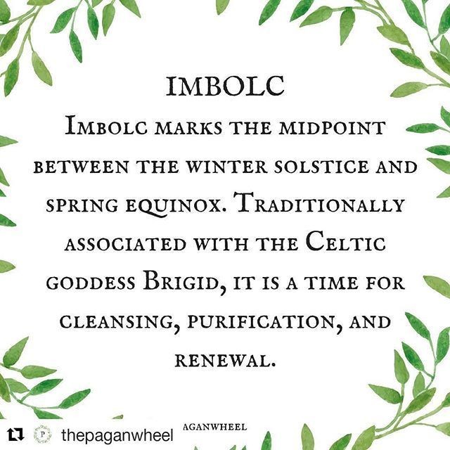 byaisling's tweet photo. Happy St Brigid's day #StBrigidDay #Imbolc #spring https://t.co/CGJBiJXVtF
