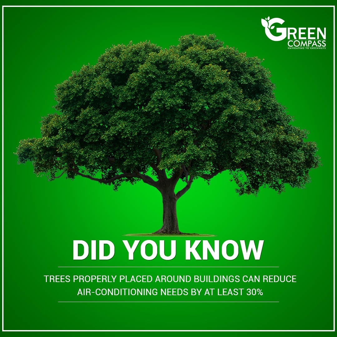 GreenCompass20's tweet photo. 🌳Trees are the longest living organisms on the planet and one of the earth’s greatest natural resources. Here are some thought-provoking #facts and #figures about our oldest citizens and living #treasures…TREES!🌳🌱 #didyouknow 🌱
#fact #GreenCompass #NavigatingToGreenways https://t.co/ctpq4ZxK9k