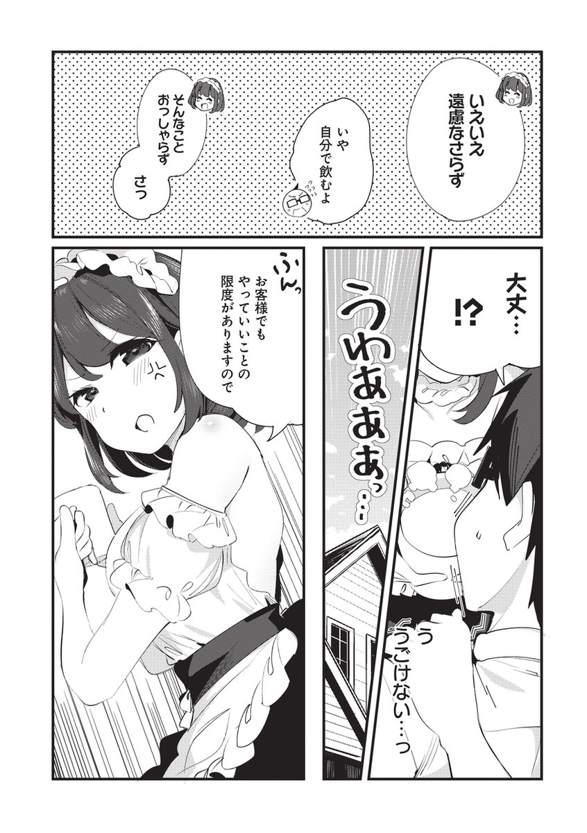 メイドさんにご奉仕(?)されるお話  (4/4) 