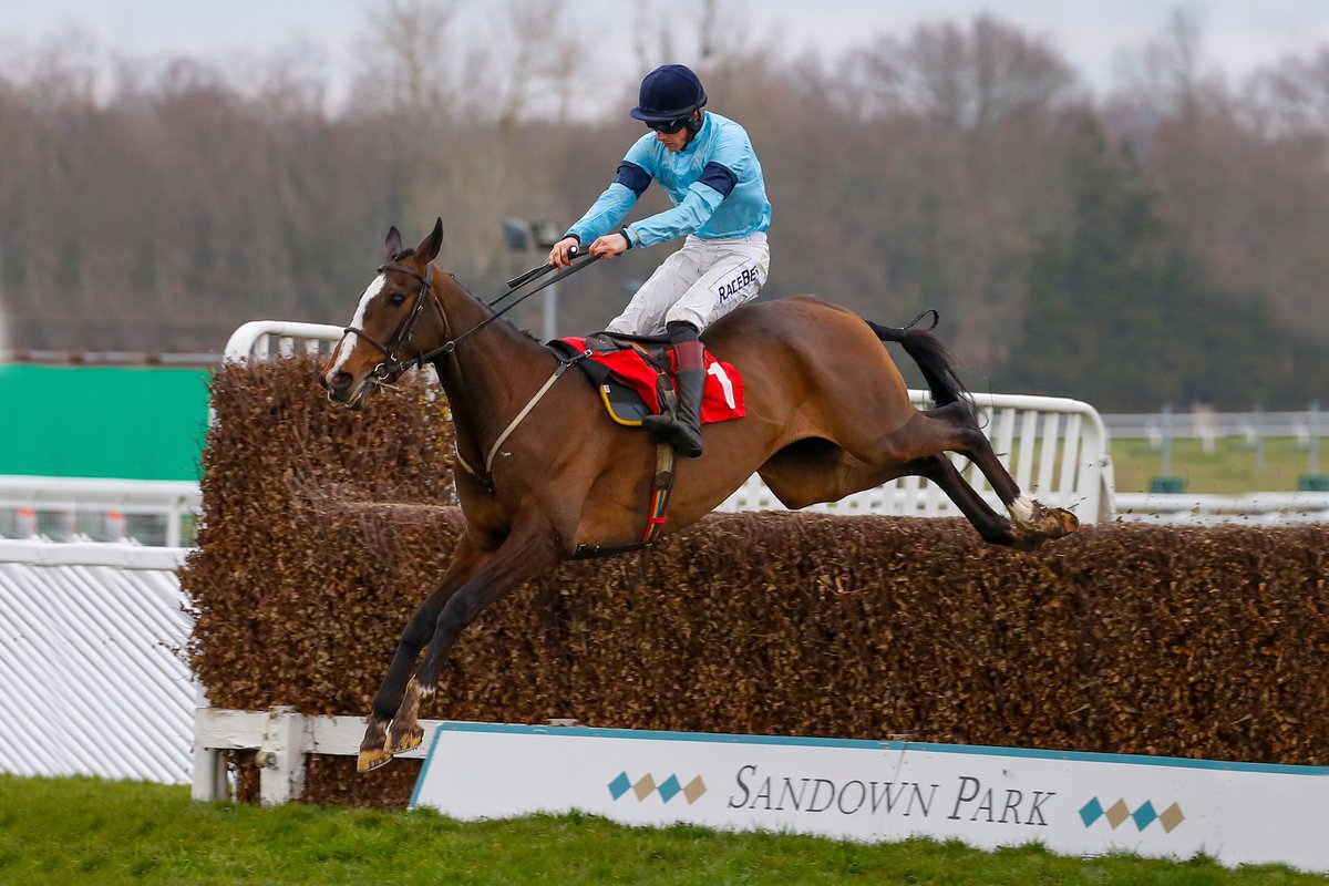 HighclereRacing's tweet photo. Crievehill runs in the 3:35pm @Sandownpark today, best of luck to him and his owners, trainer @NigelTwistonDav and jockey @samtwiston #crievehill #grandnational https://t.co/6iakH4oSlq