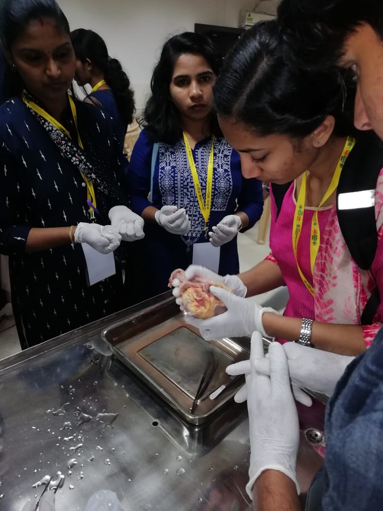AHSConOfficial's tweet photo. Narayana Hrudayalaya workshop of Cardiac Care Technology and Perfusion Technology Sessions. #AHSCon2020 https://t.co/NamL8l8Coj