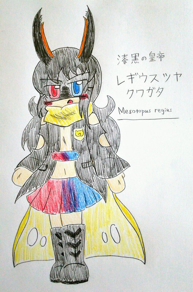 水月 オリフレ オリフレ復刻 レギウスツヤクワガタ 体長90mmを越える タランドゥスツヤクワガタの亜種 黒い体の光沢が美しい 大型のクワガタだが 体の横幅は細く スリム レギウスとは王に属する 仕えるという意味 漆黒の皇帝の肩書きを持ち 他