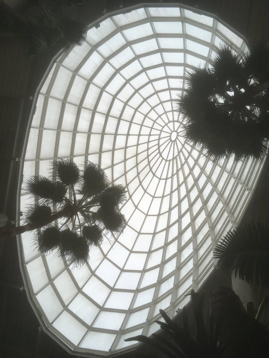 thewideopenroad's tweet photo. Gazing up through the palms to the crazy-cool dome at the #Orchidarium #Estepona #CostadelSol #Spain #LPinSpain https://t.co/1yud07o84y