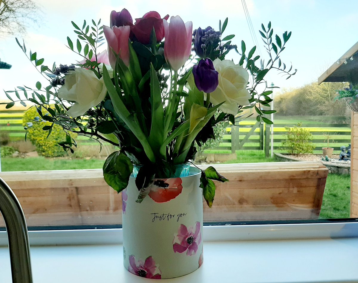 ❤ my flowers ladies, they're brightening up my kitchen 🙌 thank you @shanpremierinn @Stevens18Amy