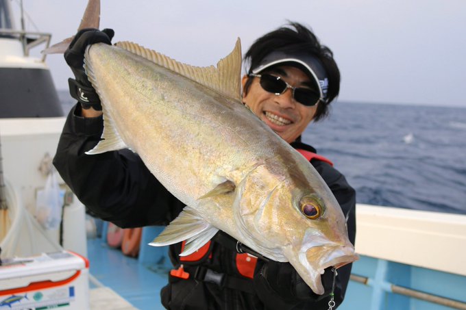 カンパチの特徴 見分け方 写真から探せる魚図鑑