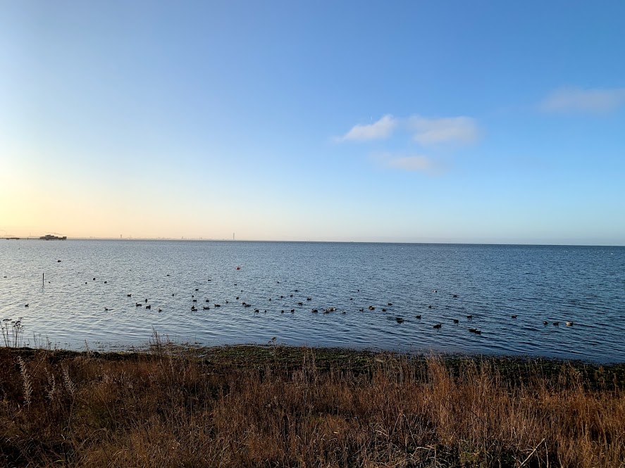 Löpning i Januari gav 153 kr till insamlingen cancerfonden.se/insamlingar/1-… 
<a href="/1krkm/">Insamlingen 1 kr/km</a>  #runstreak