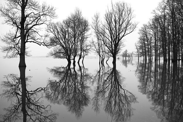 DHMZ_HR's tweet image. Započeo je najkraći mjesec u godini. Vrijeme je za novu stranicu kalendara i naslovnicu na našem Twitter profilu.

🖼️ Paralelan svijet 📷 Šimun Aščić #kalendarDHMZ #2020 #veljača