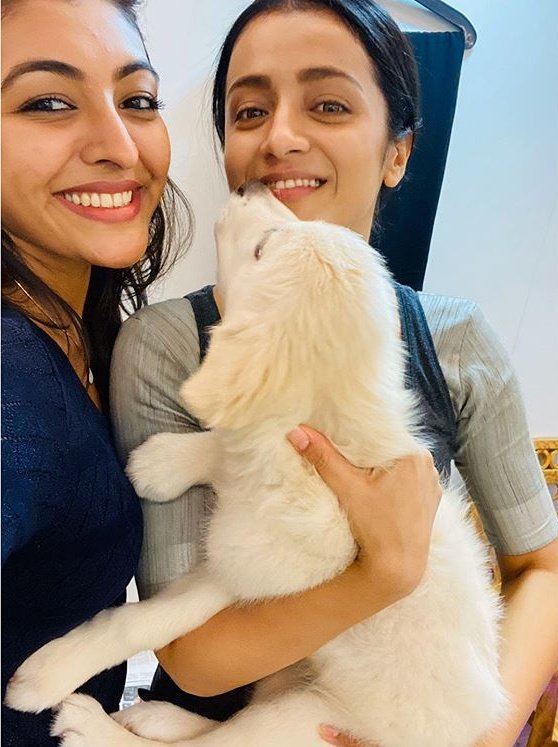 EProSBBWAAA8In9?format=jpg&name=900x900