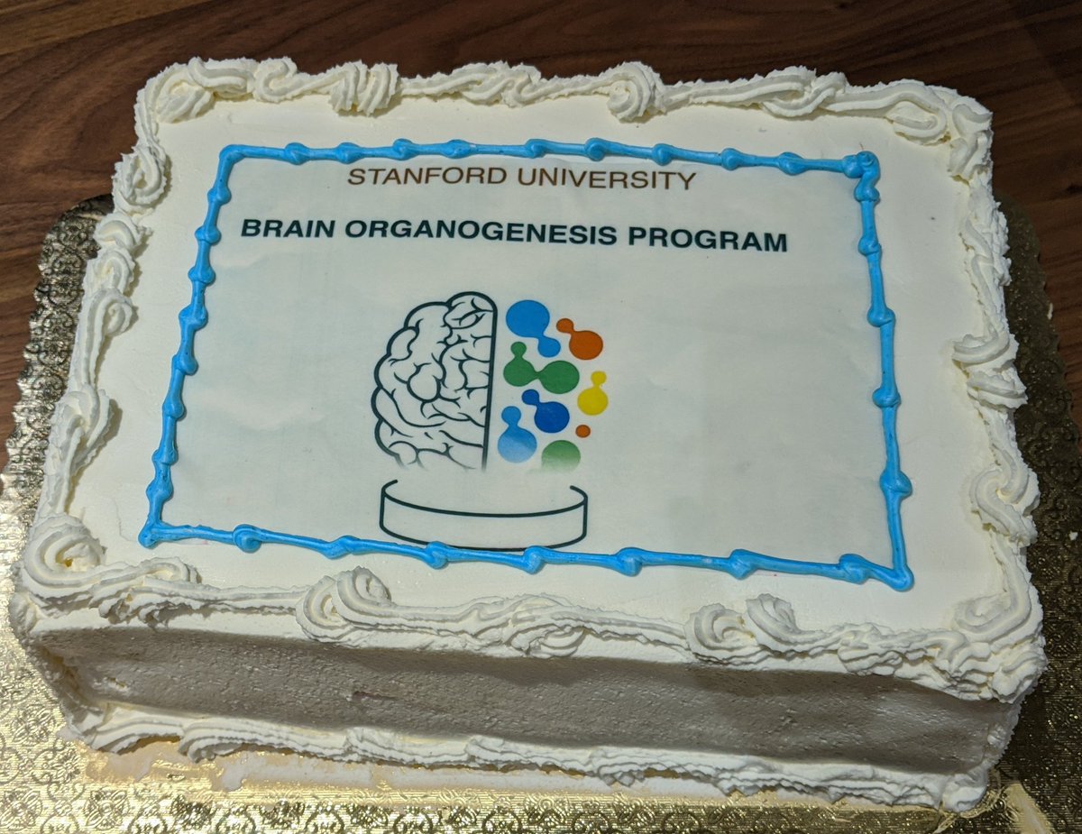 NicoleFGreen's tweet photo. #2020SHBOW complete! Thanks to the @PascaStanford lab for such an amazing workshop! I've learnt so much and had such a wonderful experience 🧫👩🏻‍🔬🧠 And what a great cake to finish the workshop with 🍰
@fikribirey @jimena_andersen @SeJinYoon3 https://t.co/eYVQx3TAzW