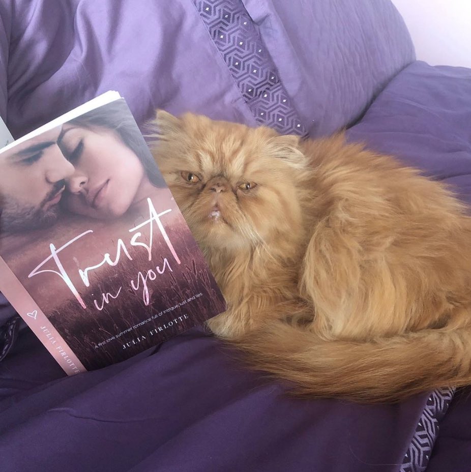 juliafirlotte's tweet image. Any plans for #caturday? Might I be so bold as to suggest a good book? 

#ingramsparkauthor #romancewriter #CatsOfTwitter #catsandbooks