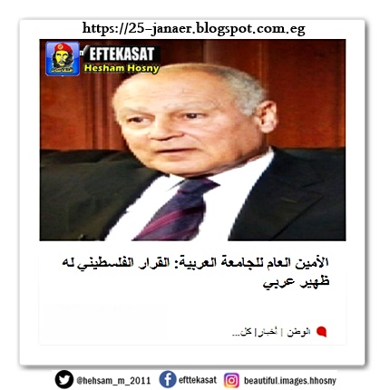 الأمين العام للجامعة العربية: القرار الفلسطيني له ظهير عربي