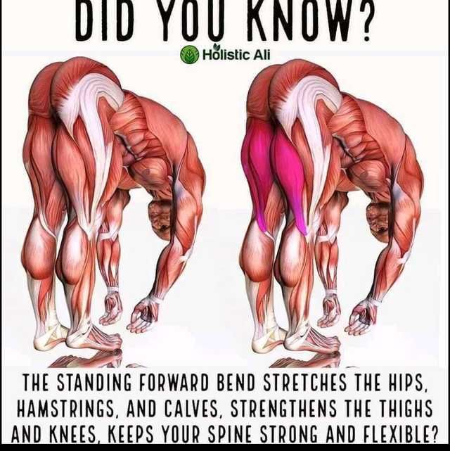 ur boday
#yoga #yogas #yogaboday #yogagirl #yogapants #yoga