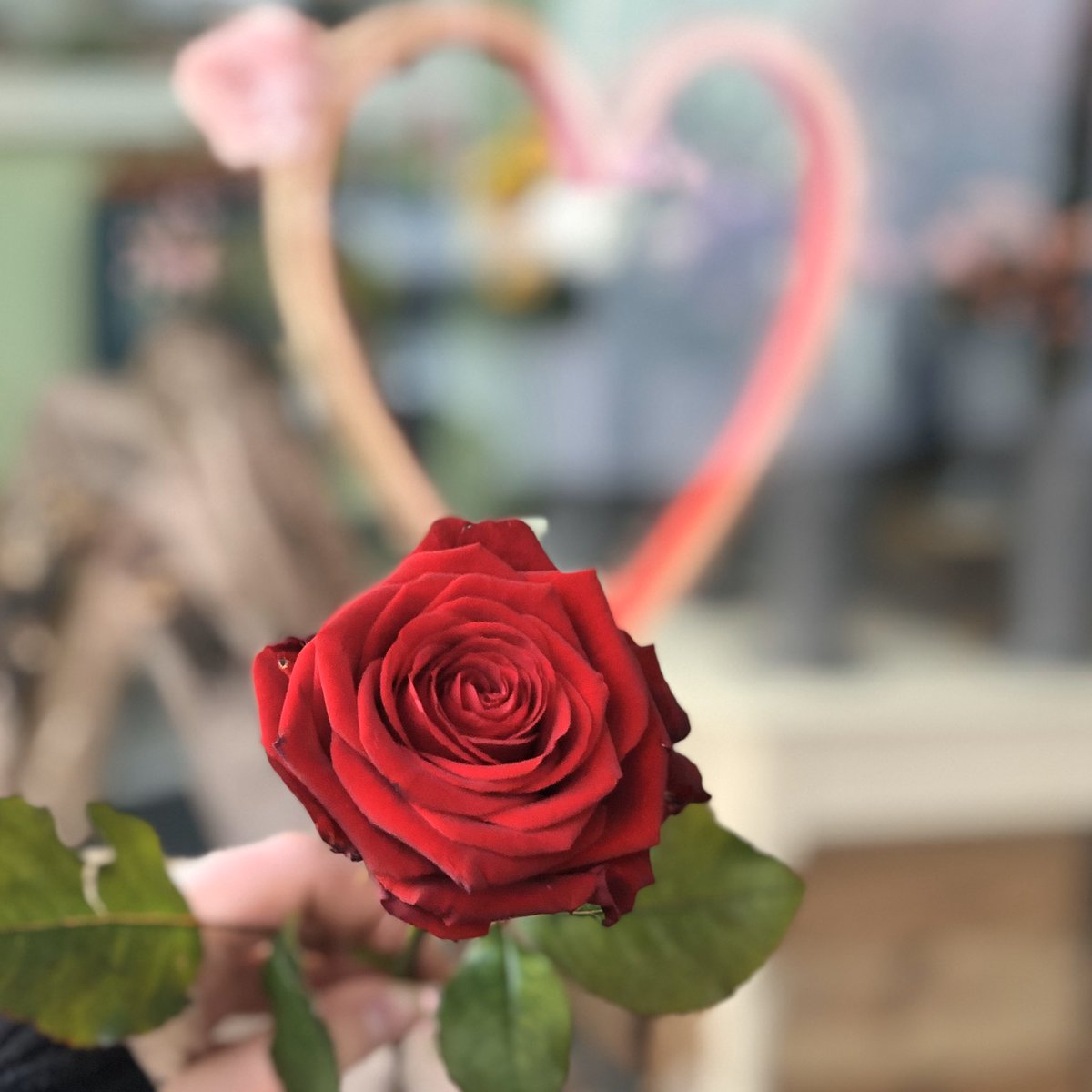 The Bloom Room Monmouth tweet media