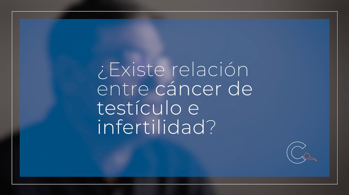 Crea Valencia tweet media
