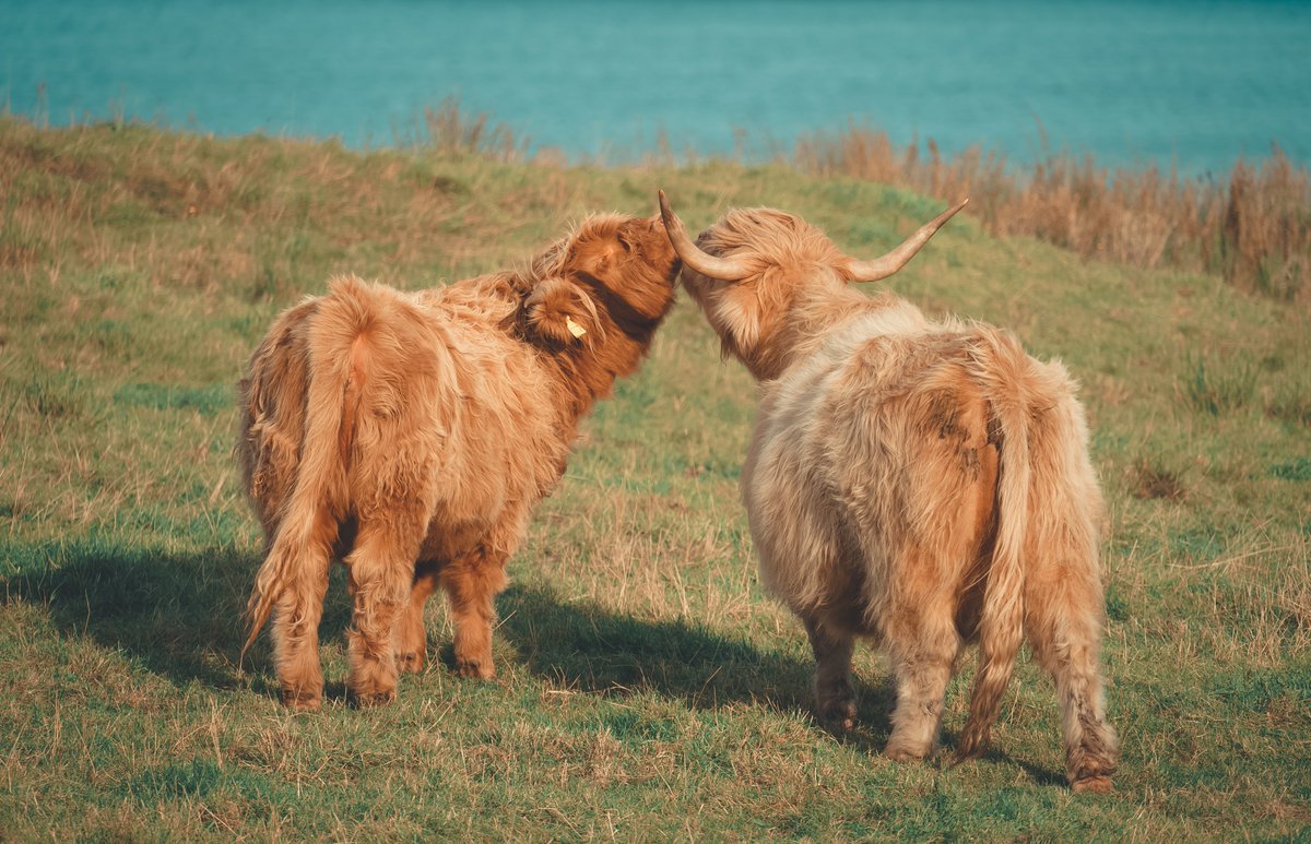 Love in Scotland. #VisitScotland