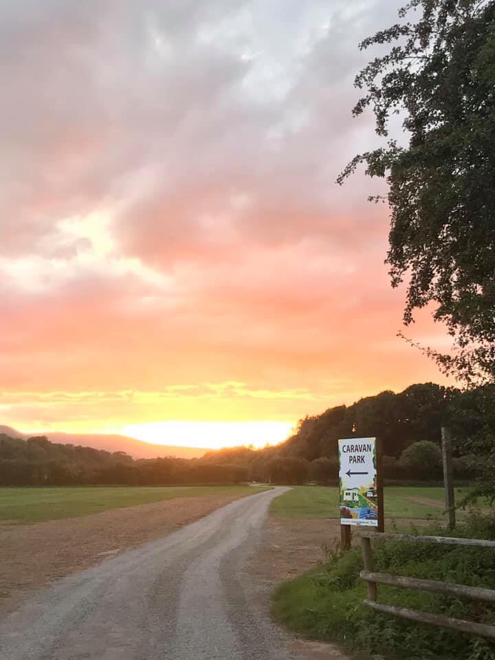 Glanusk Caravan Park tweet media