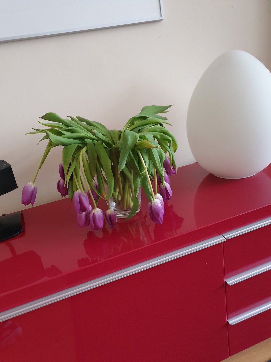 1 februari. Eindelijk weer drinken. Helaas heeft niet iedereen het droog-staan overleefd. #dryjanuary2020