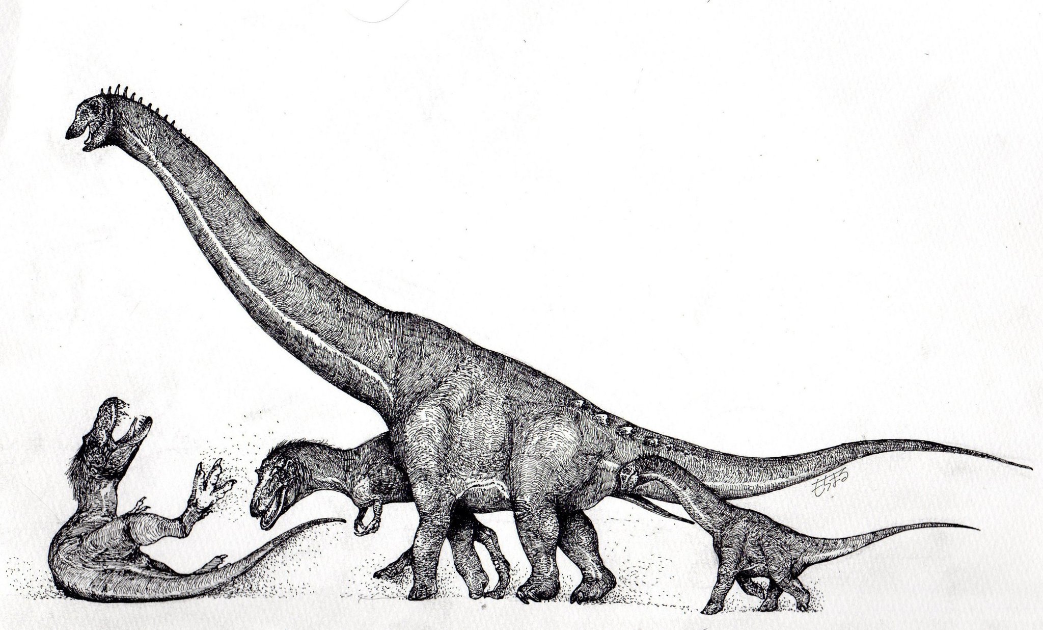 もちまる Twitterren アラモサウルスと若いティラノサウルスのつもりで描きました