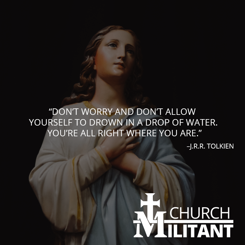 Michael_Voris's tweet photo. Catholic quote of the day by - J.R.R. Tolkien.⠀⁠
⁣⠀⁠
#catholicquote ⁠
⁣⠀⁠
https://t.co/nz2sI1z7sc https://t.co/KqcgIpyjHN