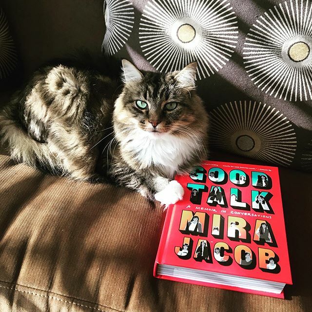ericatrabold's tweet photo. Weekend read: GOOD TALK by Mira Jacob #cocoapproved #cocothekitty https://t.co/Uh3Nma7LPn https://t.co/J0Xuq2QQMU