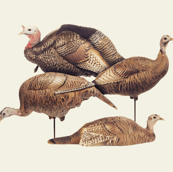 GaloreOutdoor's tweet photo. Almost Turkey Time! Check us out for your turkey hunting needs! https://t.co/SrW34bS3QB #turkeyhunting #outdoorsupplies #hunting https://t.co/FrLbsHOViz