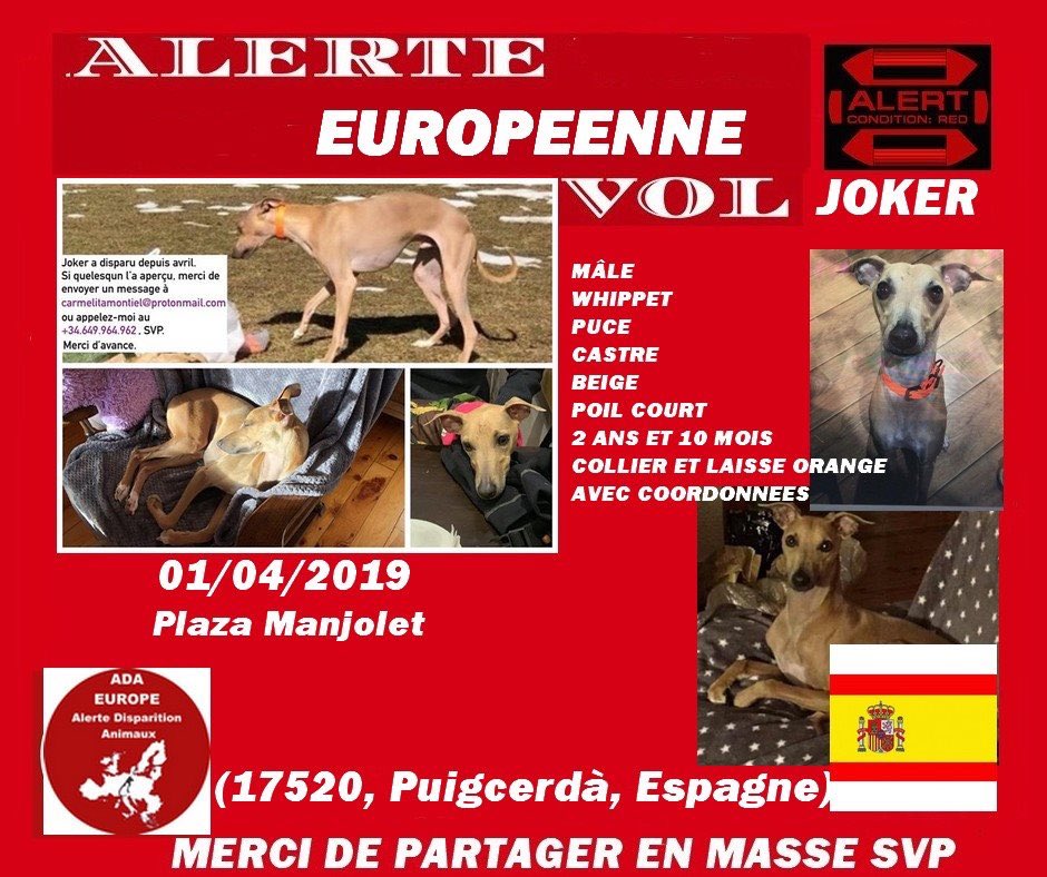 1984 es ahora tweet media