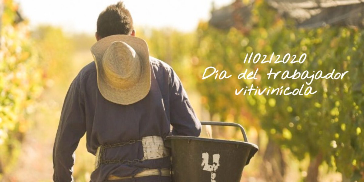 Hoy saludamos a Darío. Brindamos y le agradecemos su trabajo y dedicación.
¡Feliz día Darío! ¡Feliz día a todos los trabajadores vitivinícolas!