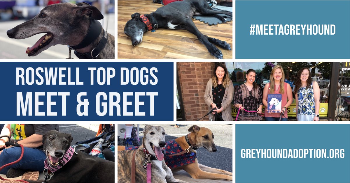 SEGC/SEGA Greyhounds tweet media