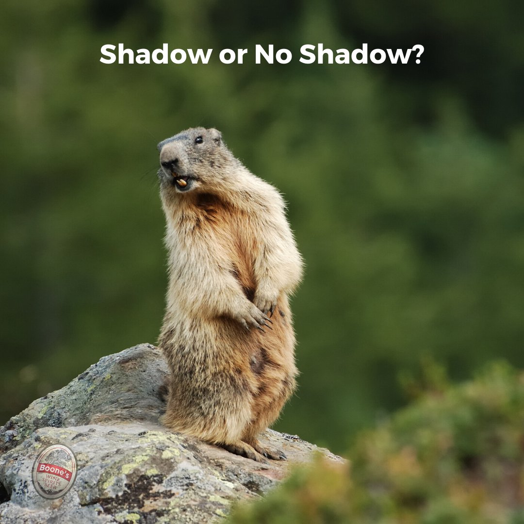 Be_A_Boone's tweet photo. Phil is taking a vote... should he see his shadow or not? Who's ready for spring? Who wants more winter?? #groundhogday #PunxsutawneyPhil #vote #bestofvail #largestliquorstore https://t.co/Wm6iHVXg76