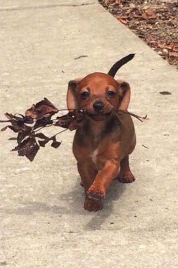 pictures (@pictures) on Twitter photo 