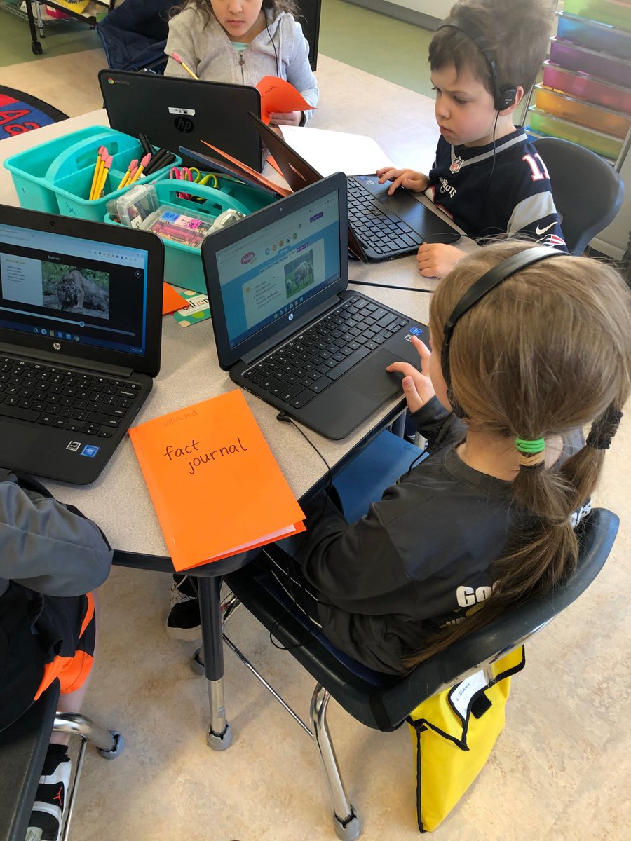 Beginning research for a teaching book about a favorite animal  #firsties #nonfictionwriting