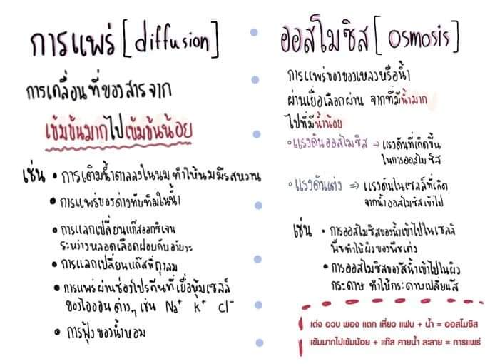 잃 tweet media