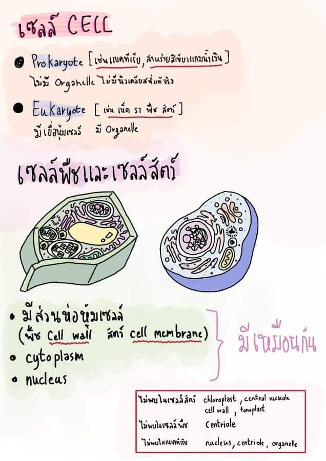 잃 tweet media