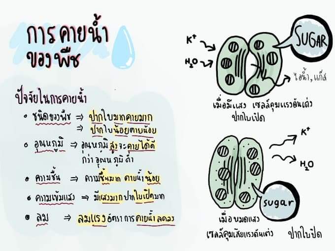 잃 tweet media