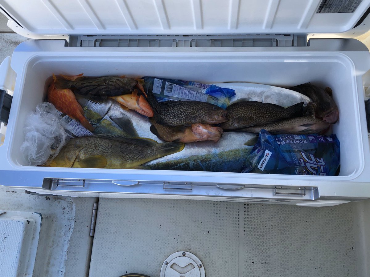 fishing_shore's tweet photo. 2020.01.30(木)  中潮　快晴　串本 船釣

イワシのフカセとタイラバのダブルヘッダーで釣行。
タイラバをやってみたいと友人に言ってたので、気を利かして今回の釣行方法になった。

朝一から潮が速く二枚潮で苦戦。
明るくなっても当たりもなく、1匹釣れた所でタイラバへ切替。
タイラバも当たり無し https://t.co/7faA1R5Mku