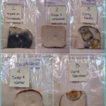 手洗いの重要性が一目で分かる!カビの生え方が凄すぎて怖い…