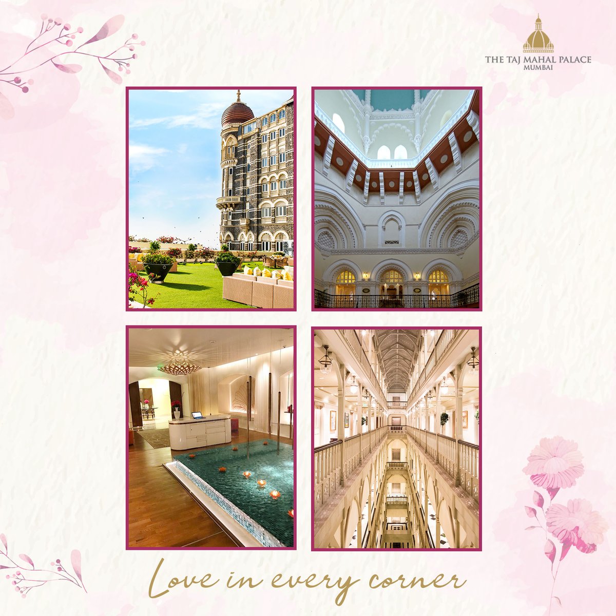 TajMahalMumbai's tweet photo. Love at first sight | Come, soak in the season of romance at the #TajMahalPalace this February: https://t.co/Sd6R3wH6FL
#LoveInEveryCorner https://t.co/C8PjnEfiqr