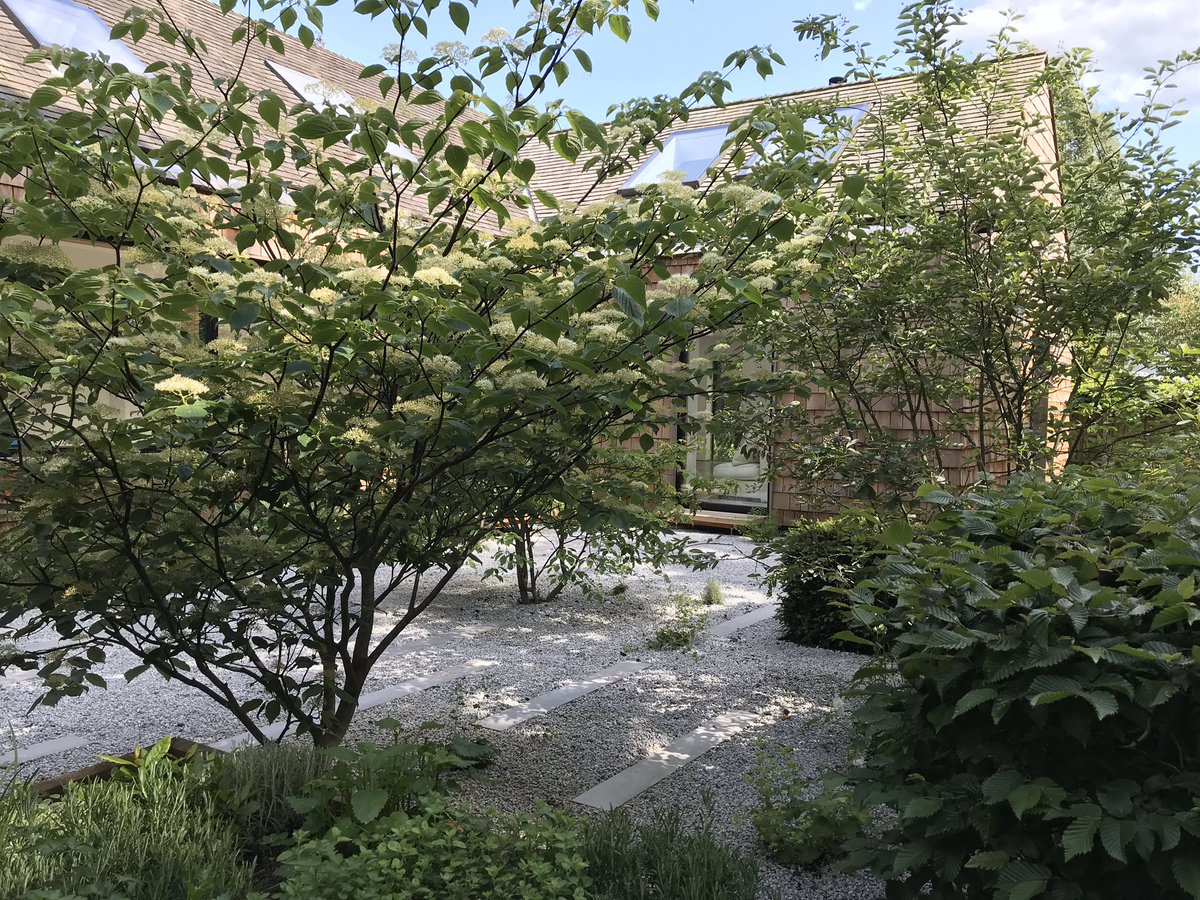 Caitlin McLaughlin (she/her) tweet media