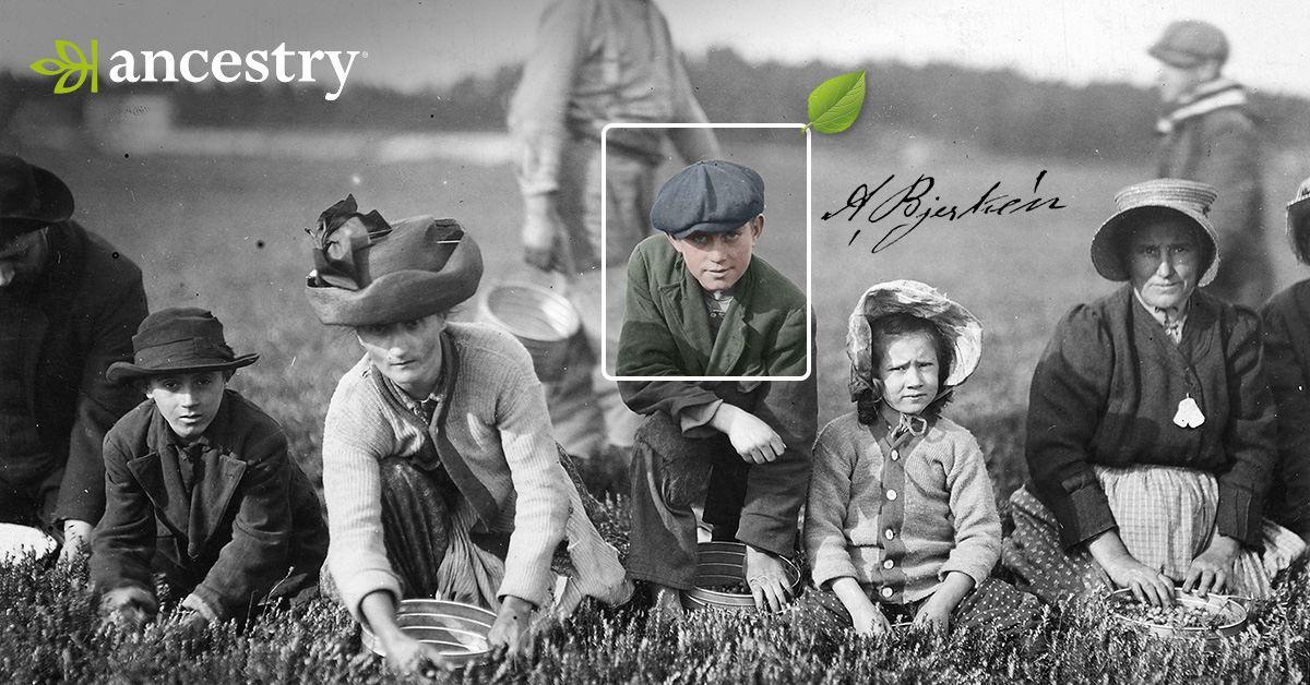 AncestrySE's tweet photo. Hos Ancestry® ger vi dig 14 dagars gratis provperiod. Börjar du bygga ett släktträd hos oss så kommer du få ta del av vår smarta tips-funktion som kan hjälpa dig att hitta ännu fler släktingar. https://t.co/0kunRp8nCA #släktforskning #släktforska #familj #släkt #historia https://t.co/1kRRu2dm9K