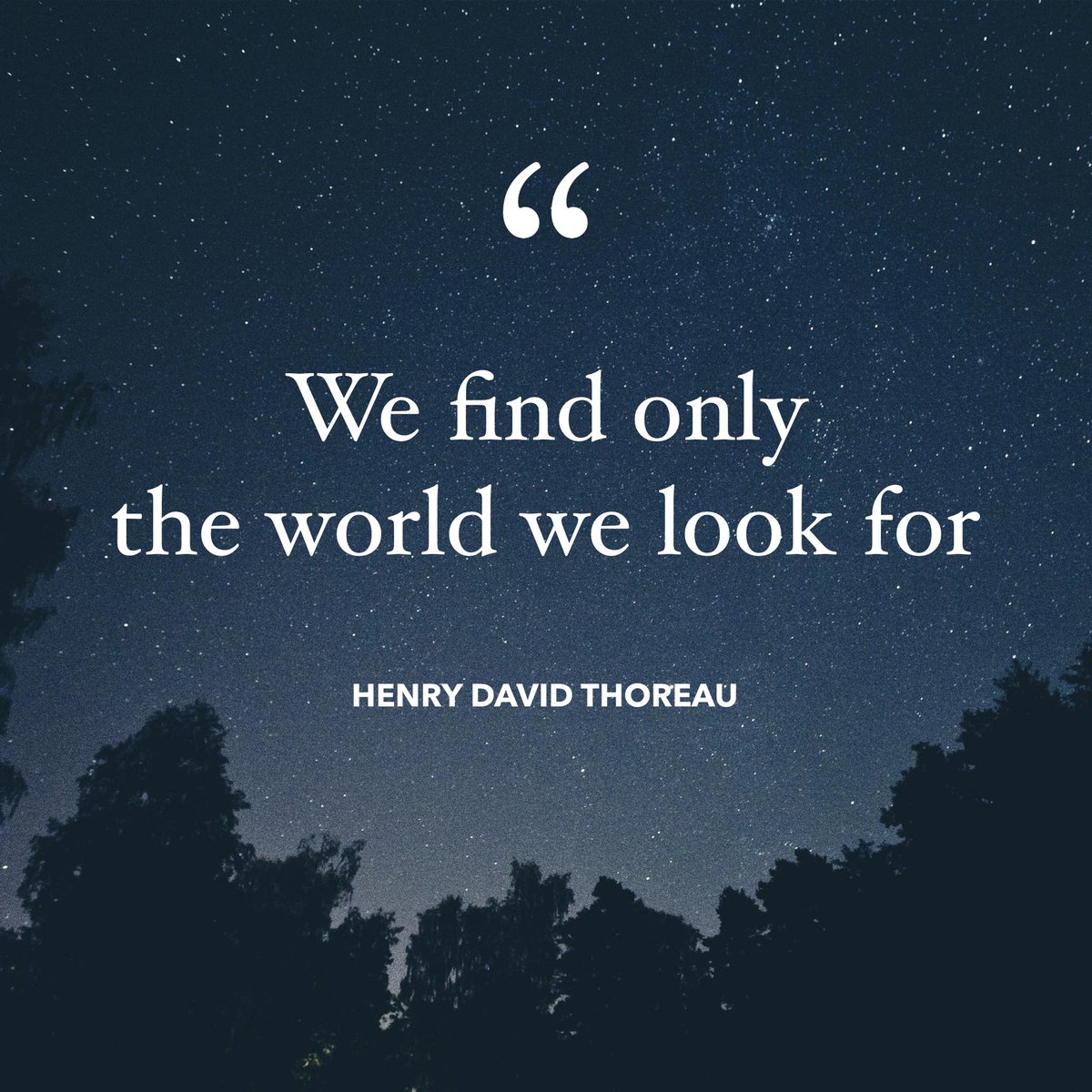 masters_biz's tweet image. "We find only the world we look for"

Henry David Thoreau

#mastersofbusiness #business #quote #inspiration #success