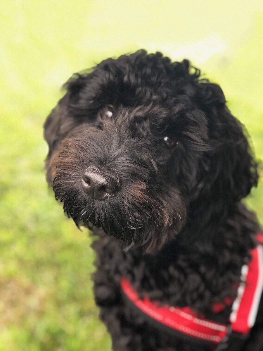 First tweet. Here’s John 😍