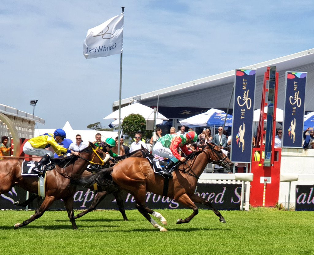 Racing Guru tweet media