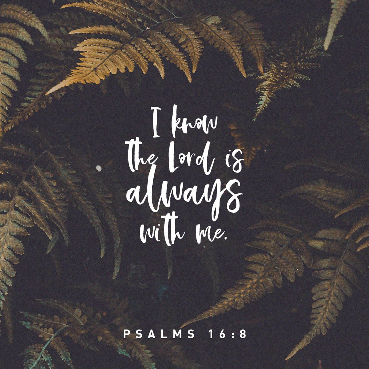 CFimpact's tweet photo. “I know the Lord is always with me. I will not be shaken, for He is right beside me.”
Psalms 16:8 NLT
#LifeAtCF
https://t.co/U7WpT8fNm3 https://t.co/VGVy23u04m
